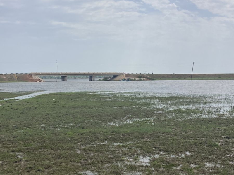 Ребёнок утонул, упав в воду с лошади в Атырауской области