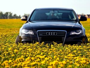 Фото auto.lafa.kz