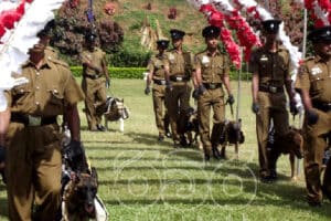 Фото: nation.lk