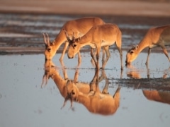 фото с сайта bigpictures.ru