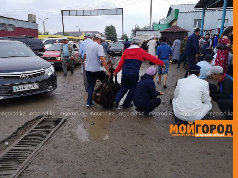 Новости Уральск - Праздник Курбан Айт отмечают в Уральске 