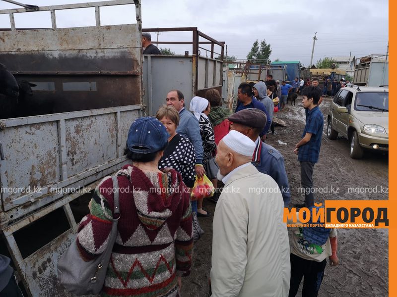 Новости Уральск - Праздник Курбан Айт отмечают в Уральске 