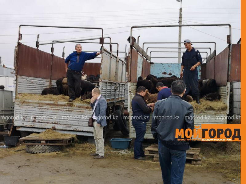 Новости Уральск - Праздник Курбан Айт отмечают в Уральске 