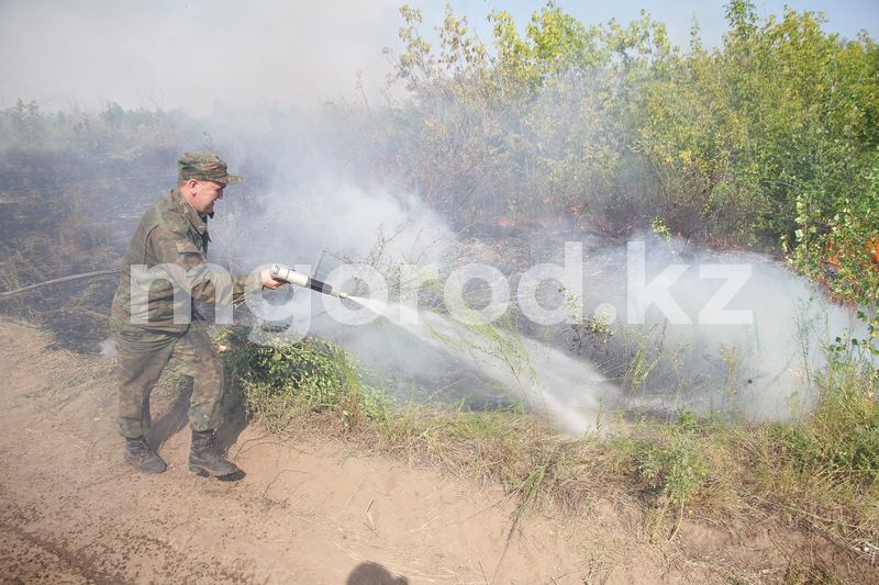 Лесной массив и степная трава горят вблизи Уральска