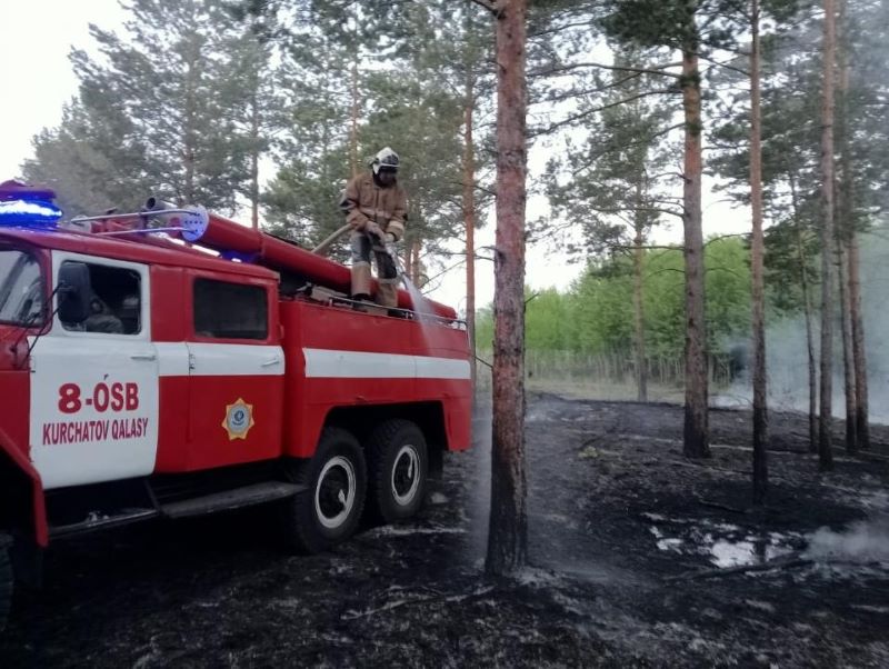 Лесной пожар в Абайской области: 277 человек эвакуировались