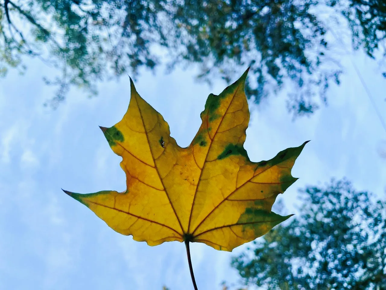 Ветер до 30 метров в секунду ожидается в ЗКО | Мой Город : Новости ...